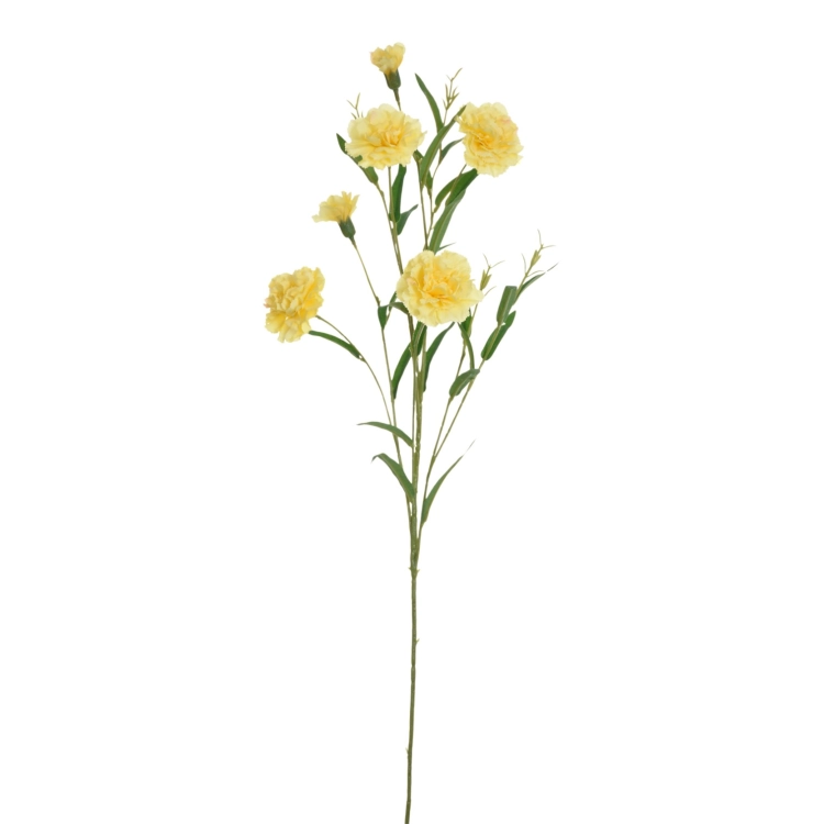 SUN641#3399#LT YELLOW#1_m.jpg