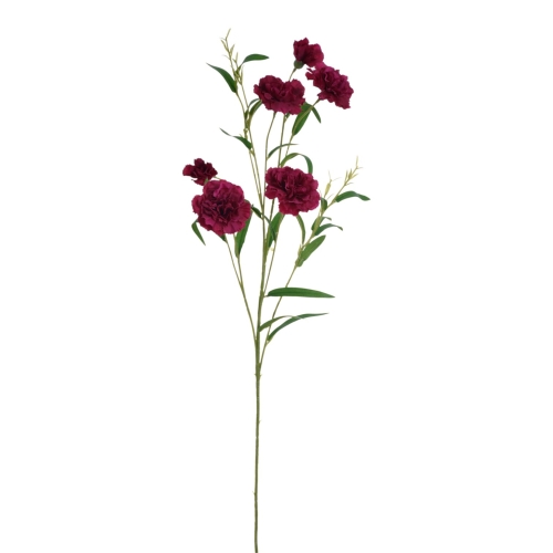 SUN641#2466#SWEET FUCHSIA#1_m.jpg