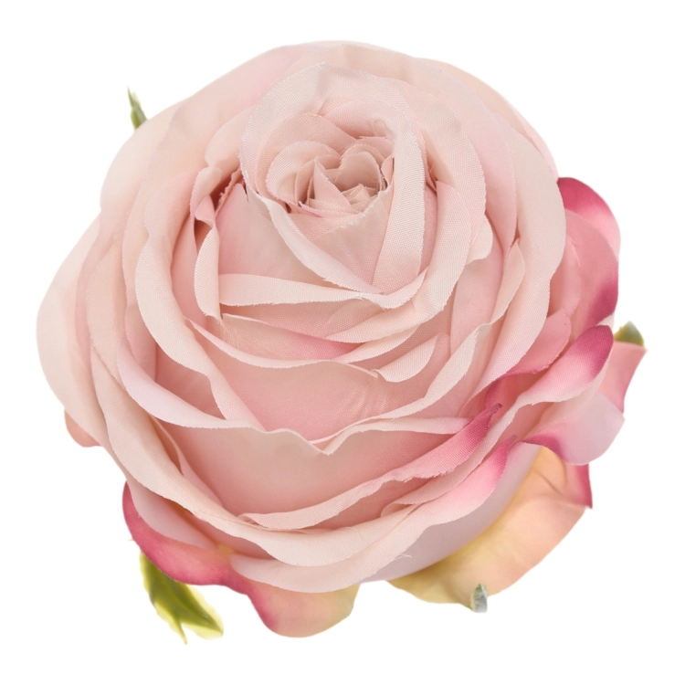 SUN891#1496#LT MAUVE#1_m.jpg