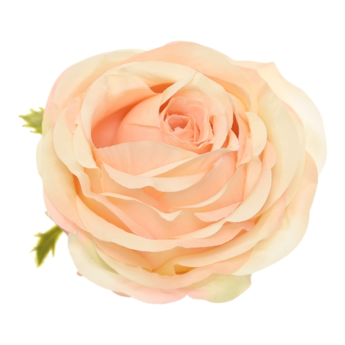 SUN891#3065#REAL PEACH#1_m.jpg