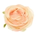 róża pełna - wyrobówka 12szt #3065 real peach (SUN891)