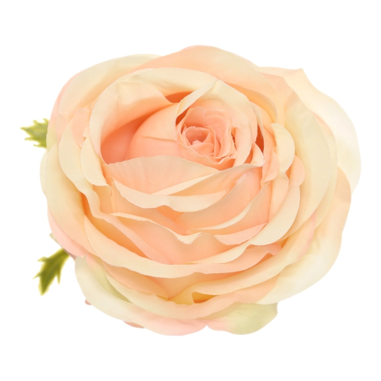SUN891#3065#REAL PEACH#1_m.jpg