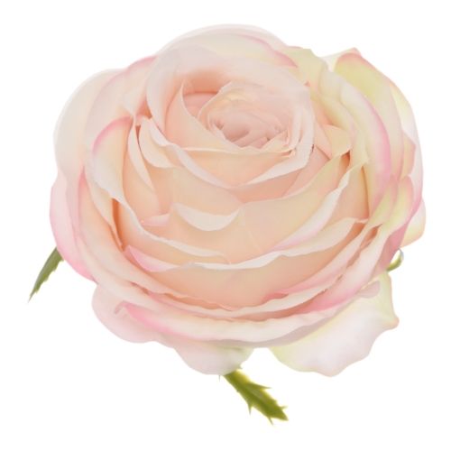 SUN891#3064#APRICOT CREAM#1_m.jpg