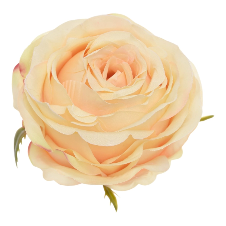 SUN891#1745#GOLD YELLOW#1_m.jpg