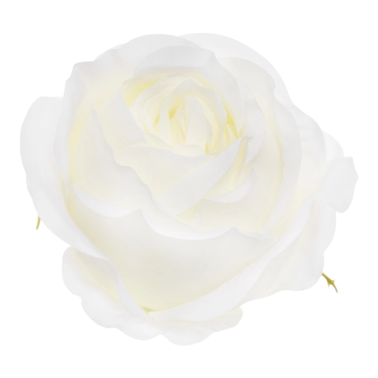 SUN892#1583#WHITE#1_m.jpg