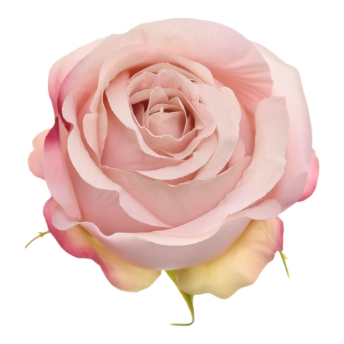 SUN892#1496#LT MAUVE#1_m.jpg