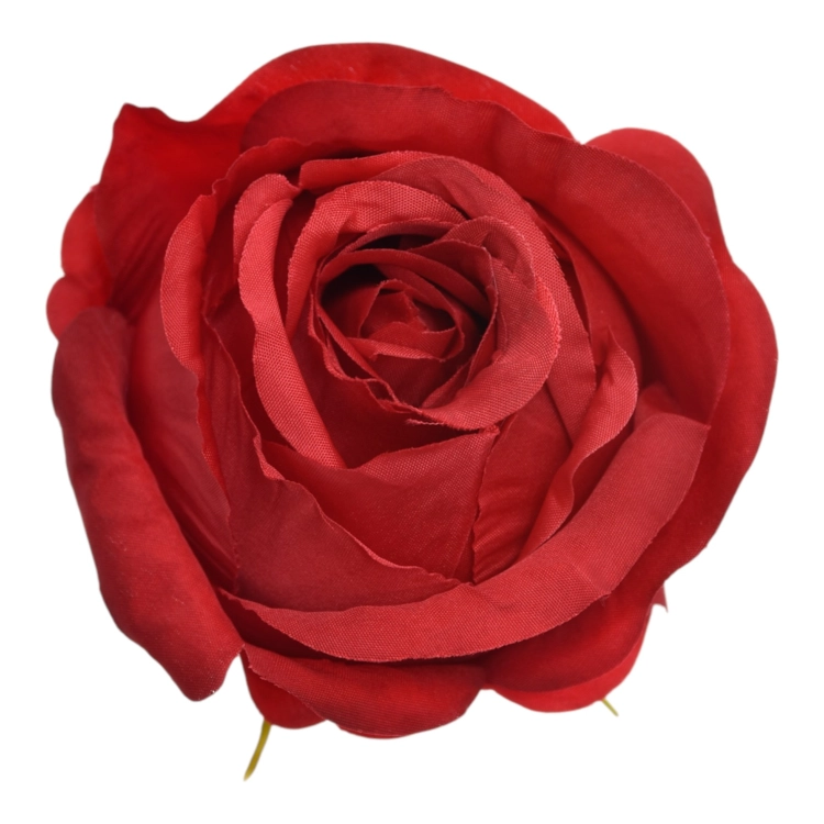 SUN892#1746#RUBIN#1_m.jpg