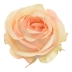 róża cieniowana - wyrobówka 12szt #3065 real peach (SUN892)