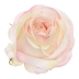 róża cieniowana - wyrobówka 12szt #3064 apricot cream(SUN892)