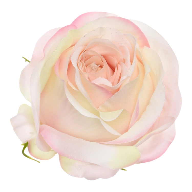 SUN892#3064#APRICOT CREAM#1_m.jpg