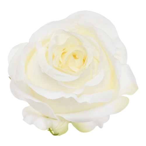 SUN892#1884#CREAM GREEN#1_m.jpg