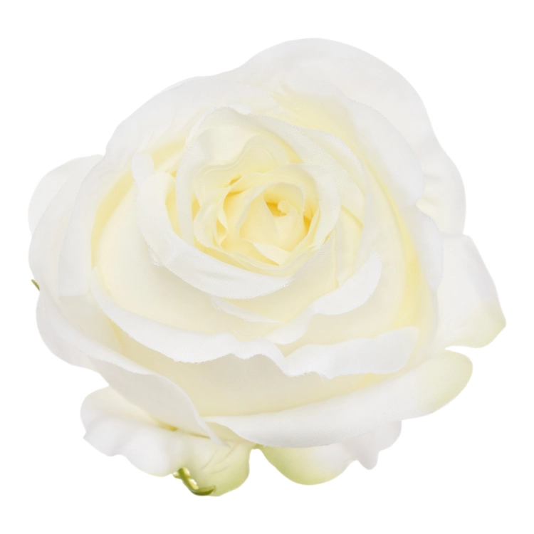 SUN892#1884#CREAM GREEN#1_m.jpg