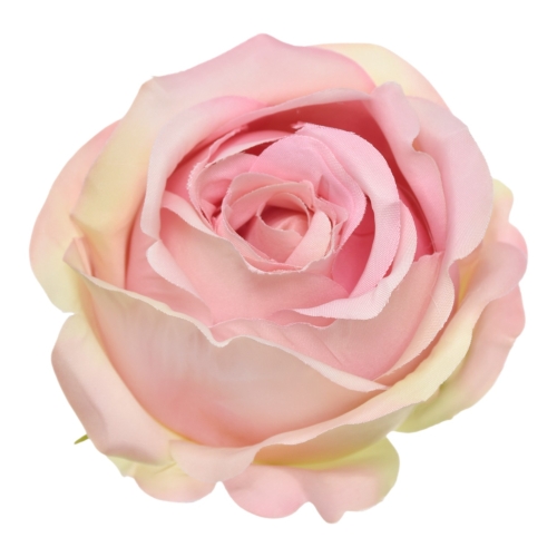 SUN892#1582#PINK GREEN#1_m.jpg