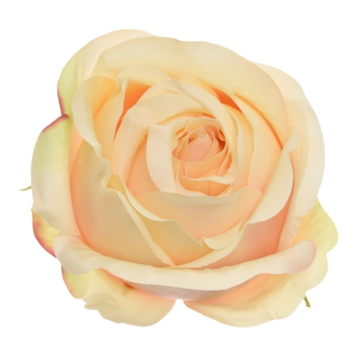 SUN892#1745#GOLD YELLOW#1_m.jpg