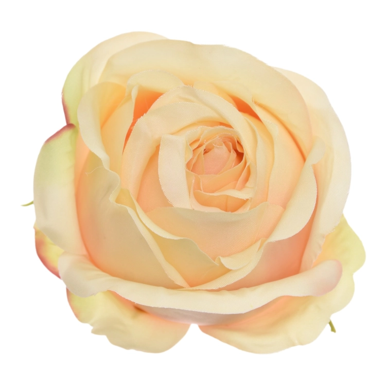 SUN892#1745#GOLD YELLOW#1_m.jpg