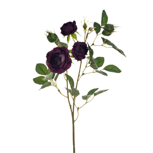 SUN760#1741#PURPLE GREEN#1_m.jpg