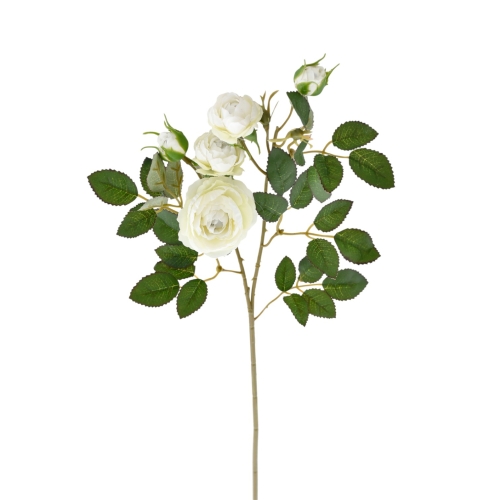 SUN760#973#WHITE#1_m.jpg