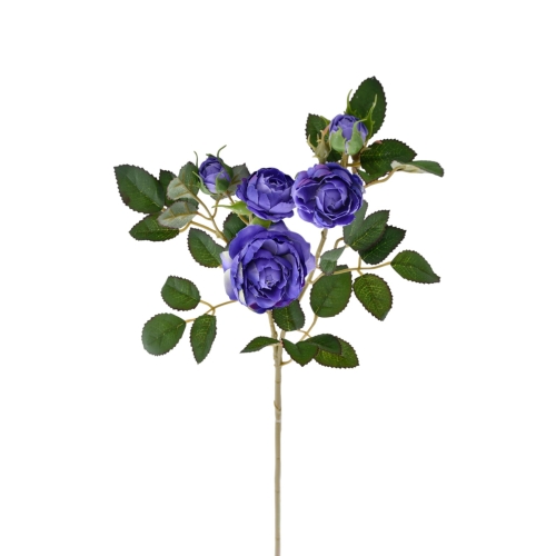 SUN760#3398#ULTRA VIOLET#1_m.jfif.jpg