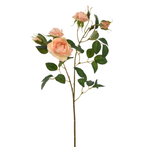 SUN760#3065#REAL PEACH#1_m.jpg
