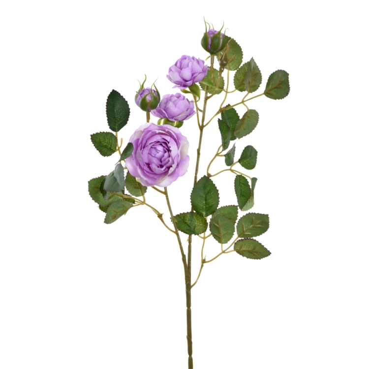SUN760#3599#LT VIOLET_m.jpg