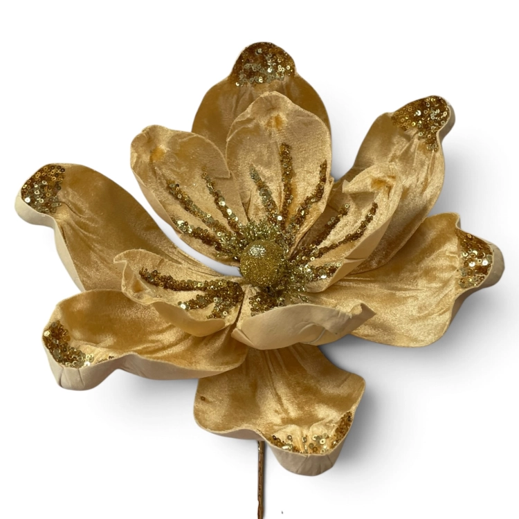 IMG_5808.jpg