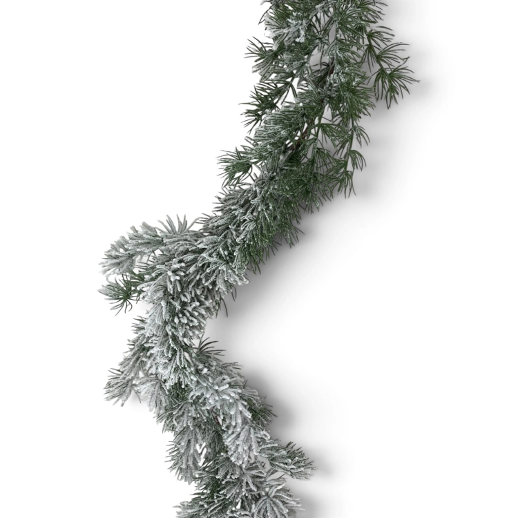 IMG_5896.jpg