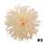 pobrane (10).jfif.png