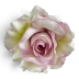 Róża wyrobowa otwarta Sonia 12 szt. #XYLA WHITE/PINK