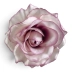 Róża wyrobowa otwarta Sonia 12 szt. #XYMA534 ORCHID
