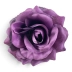 Róża wyrobowa otwarta Sonia 12 szt. #XYPU447 VIOLET