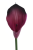 IMG_8652.png