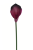 IMG_8651.png