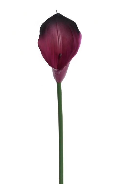 IMG_8651.png