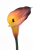 IMG_7759.png
