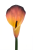 IMG_7758.png