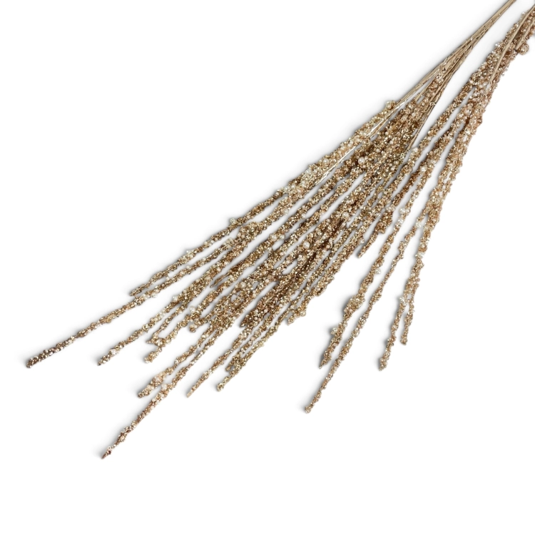 Photoroom_20261009_103202.jpeg