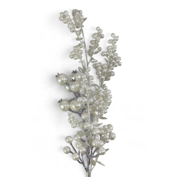 IMG_7007.jpg