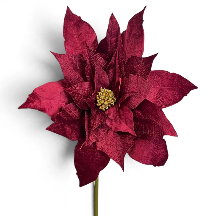 IMG_7152.jpg