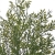 IMG_8820-Photoroom.jpg