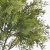 IMG_8823-Photoroom.jpg