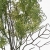 IMG_8812-Photoroom.jpg