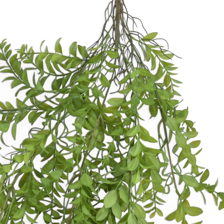 IMG_8814-Photoroom.jpg