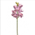 IMG_7213.png