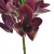 IMG_7227.png