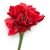 IMG_9098-Photoroom.jpeg