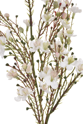 IMG_9134.png