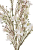 IMG_9134.png