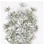 XFMN053##SNOW GREEN#2_m (1).jpg