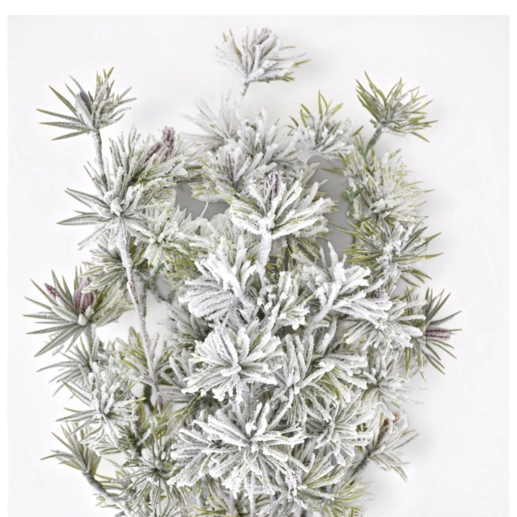 XFMN053##SNOW GREEN#2_m (1).jpg