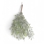 XYD113##GREEN#2_m.jpg